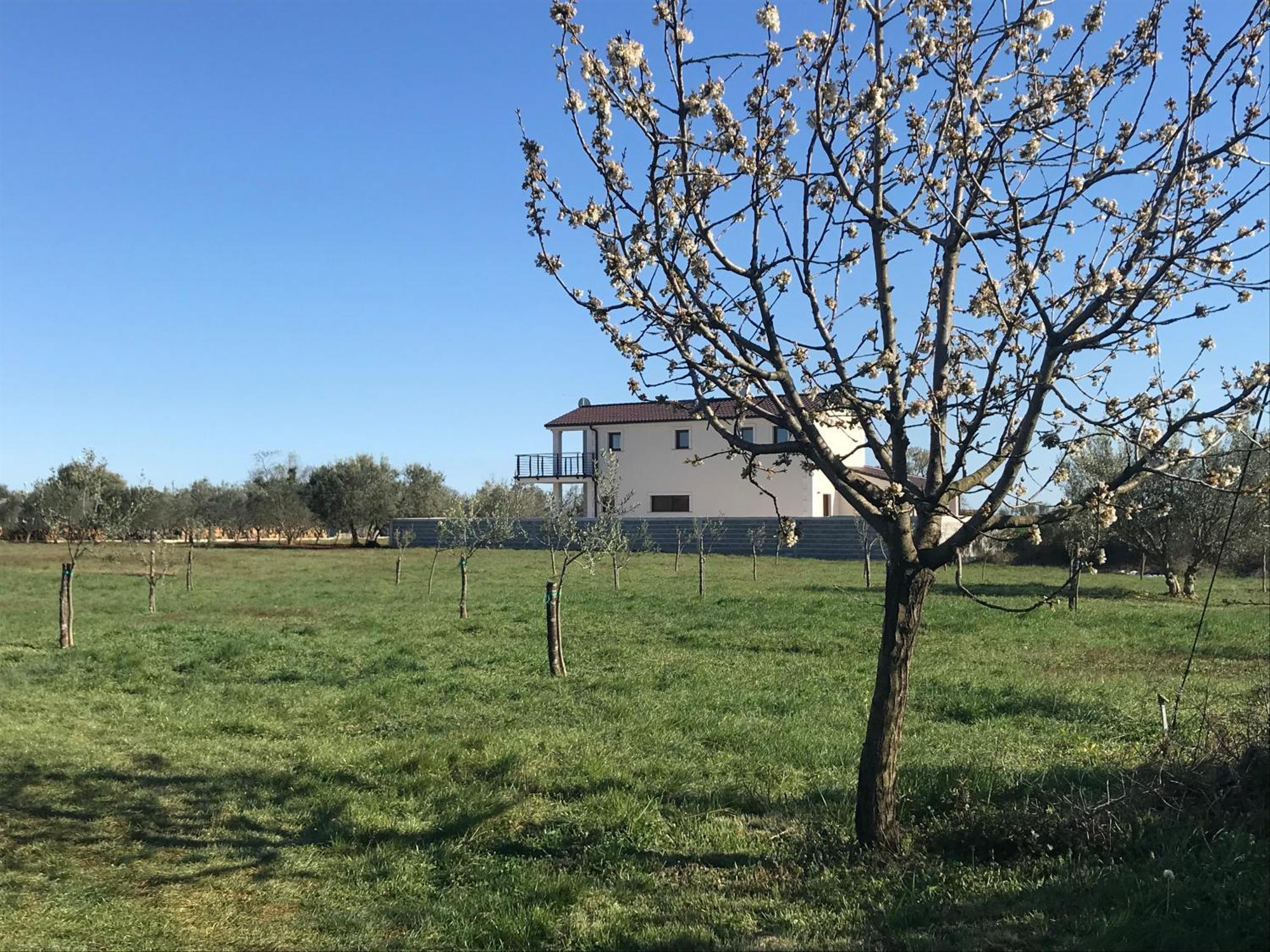 Villa Lydia Marčana Exteriér fotografie