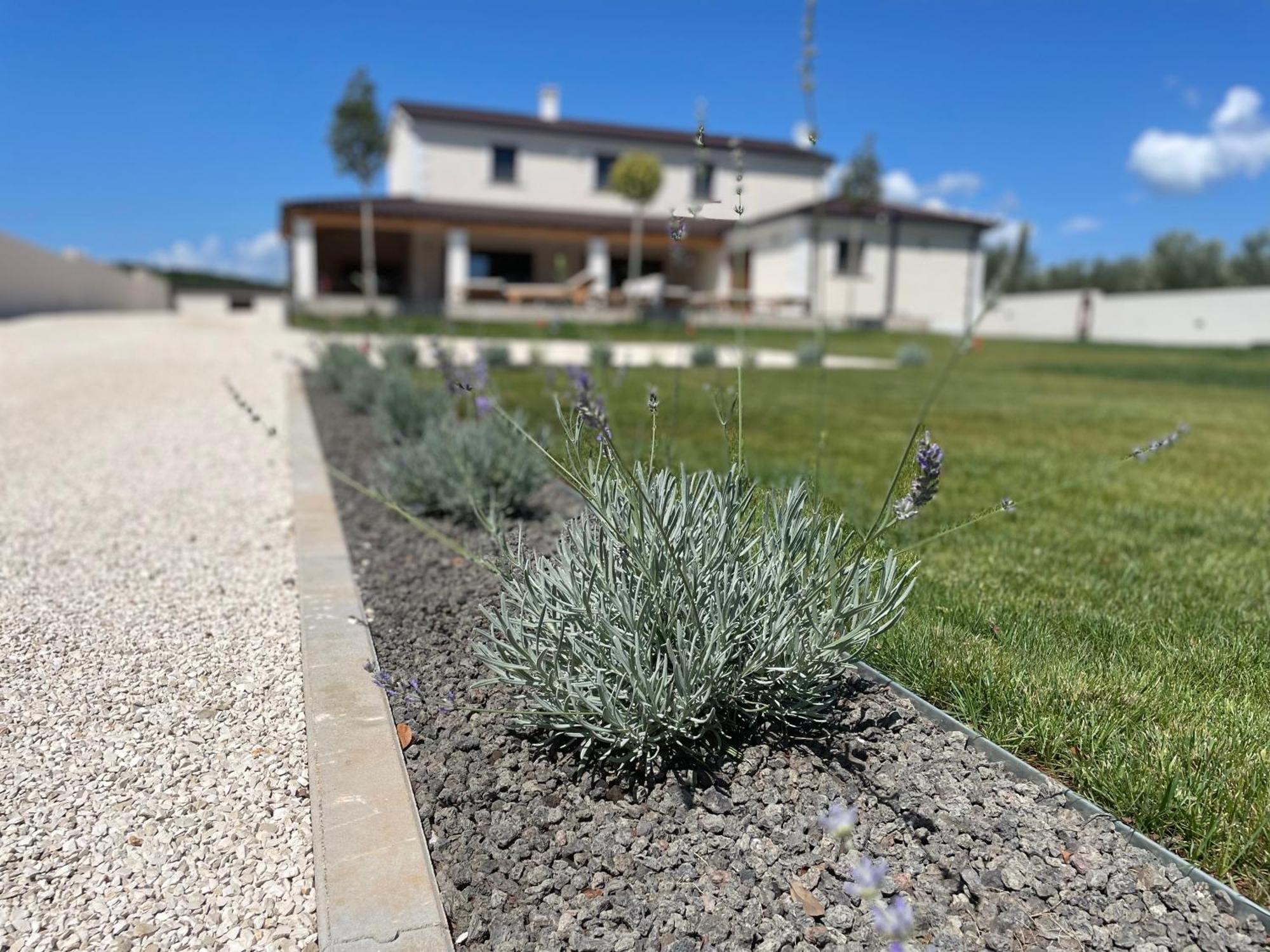 Villa Lydia Marčana Exteriér fotografie